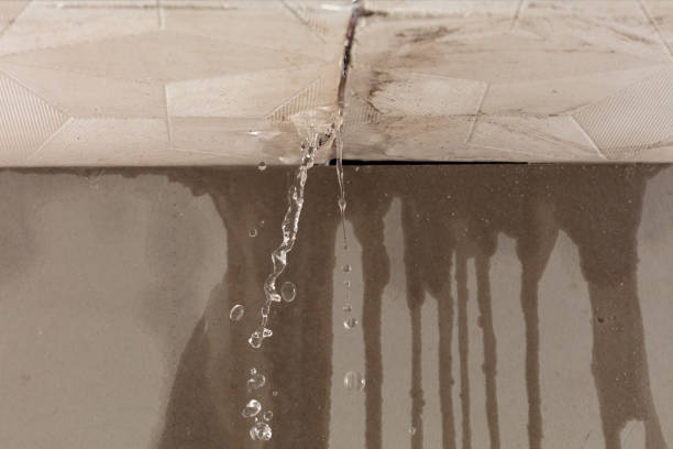 Professional Burst Pipe Cleanup technician working in Sheldon, IL